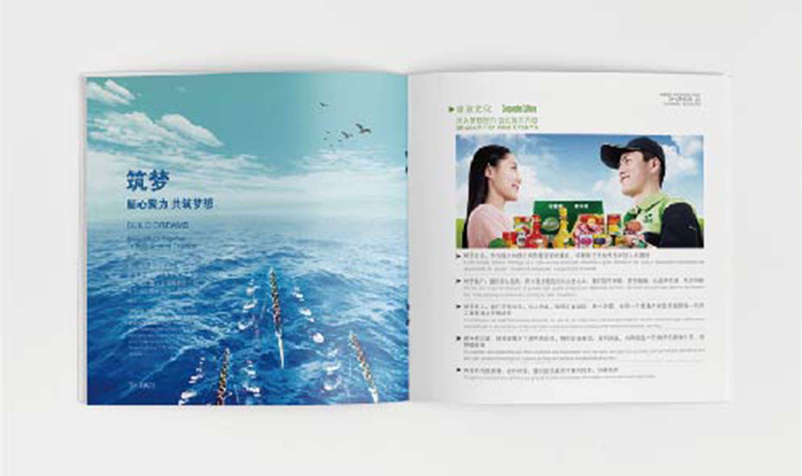 北京顺鑫集团品牌包装设计