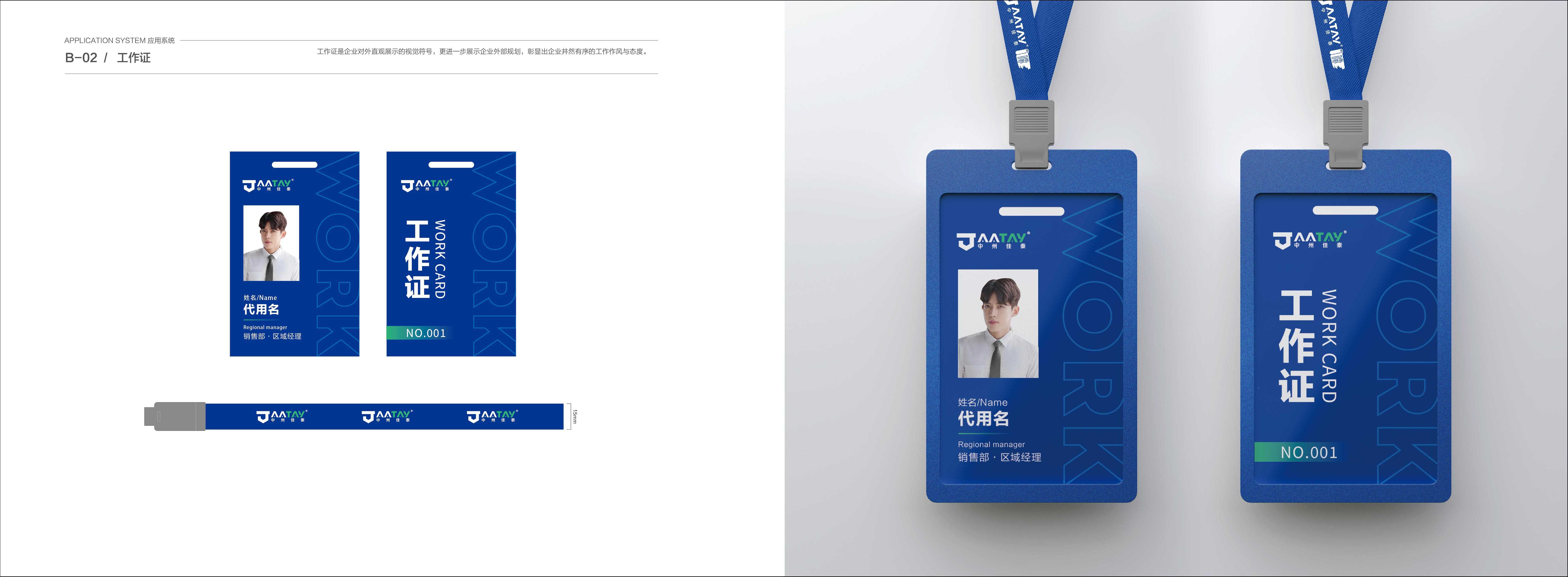 中州佳泰VIS展示