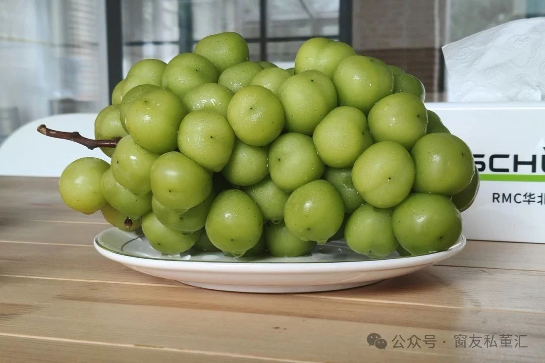 微信图片_20250821172410.jpg