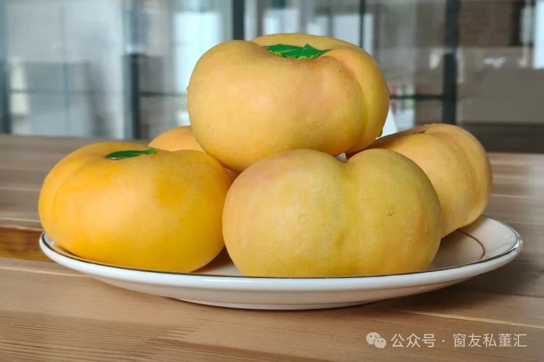 微信图片_20250821172415.jpg