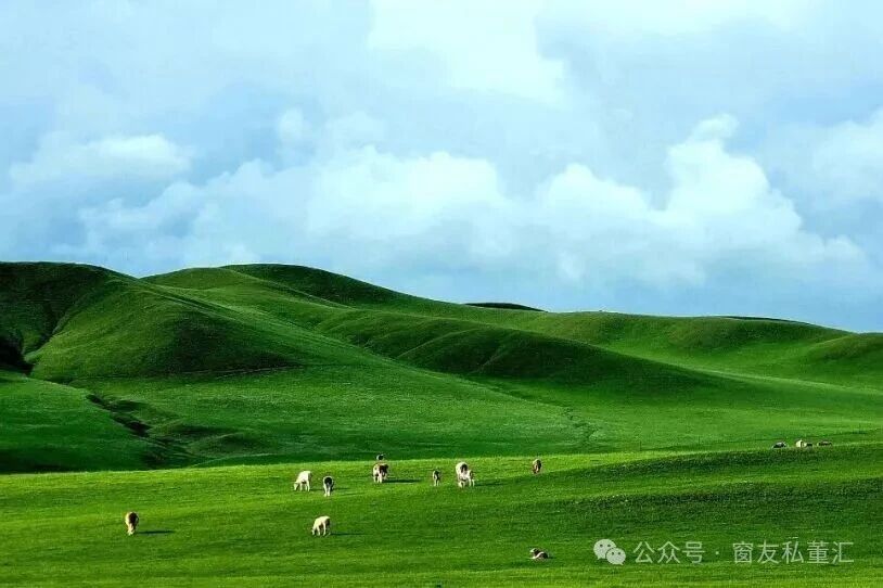 微信图片_20250902103235.jpg